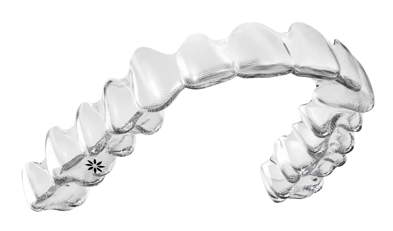 Orthodontist Vaughan Invisaling Transparent Hero